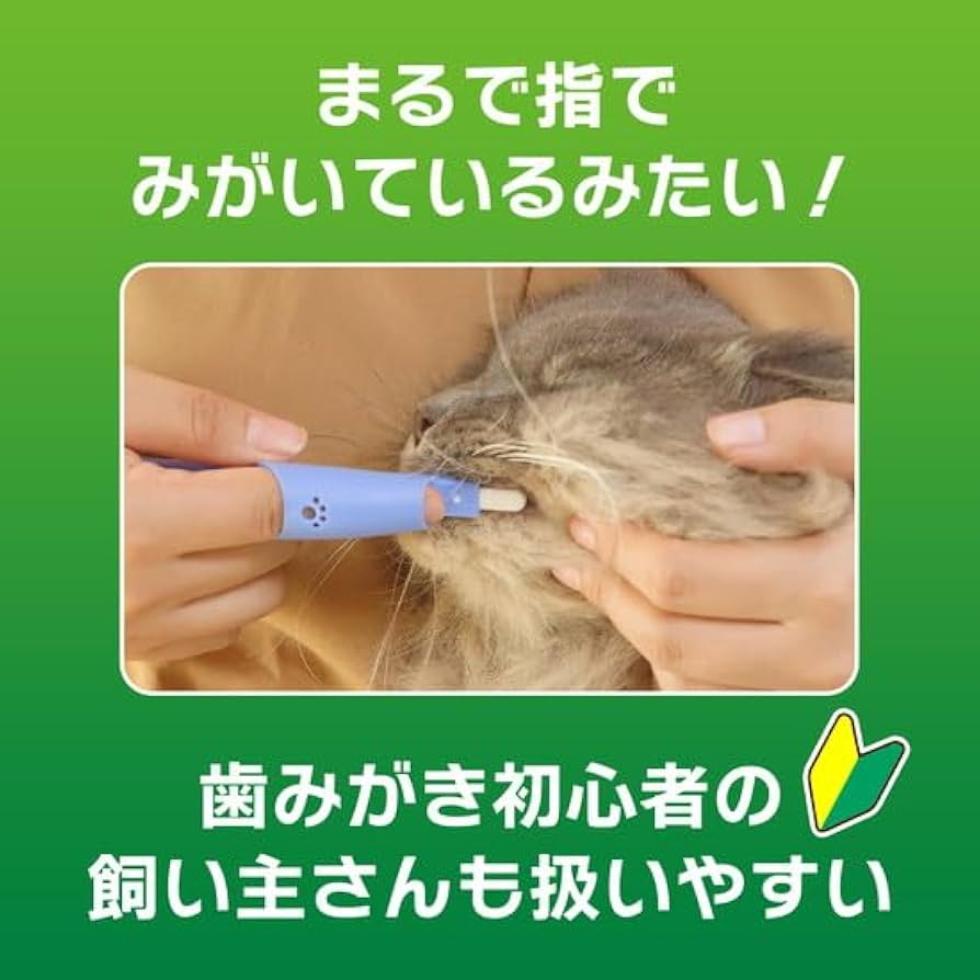 お口の小さい犬、猫用LION　PETKISS指サック歯ブラシコンパクト青　24本 LION ペット用歯ブラシ ライオン PETKISS 指サック歯ブラシ 犬用